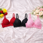 Exclusive Single Padded Comfort Bra Combo (Pack of 3 Sets)
