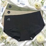 3 Pcs Premium Seamless Essentials Combo Pack | Intimate Bottoms | Free Size