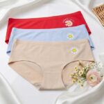 3 Pcs Everyday Seamless Comfort Pack | Free Size