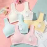 3 Pcs Soft Cotton Comfort Wear Inner Top Combo Pack